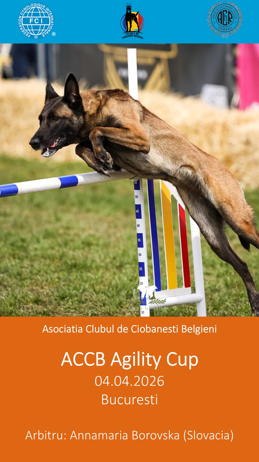 ACCB Spring Cup - Agility